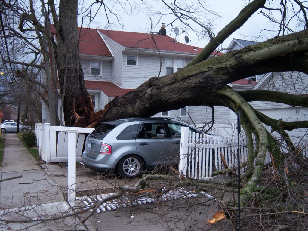 Emergency tree service in eau claire