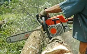 Tree Removal Service Eau Claire WI